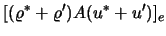 $\displaystyle [(\varrho^* + \varrho' ) A (u^* + u')]_e$