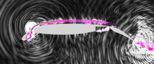 wing noise