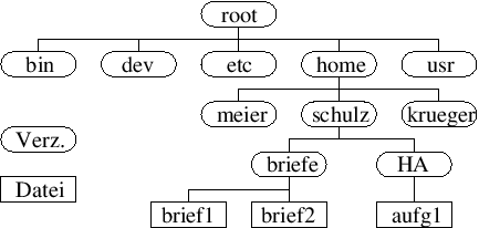 \includegraphics[scale=0.5]{Bilder/baum.eps}