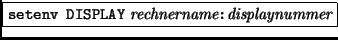 \fbox{{\tt setenv DISPLAY} {\it rechnername}{\tt :}{\it displaynummer}}