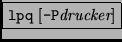 \fbox{{\tt lpq} [{\tt -P}{\it drucker}]}